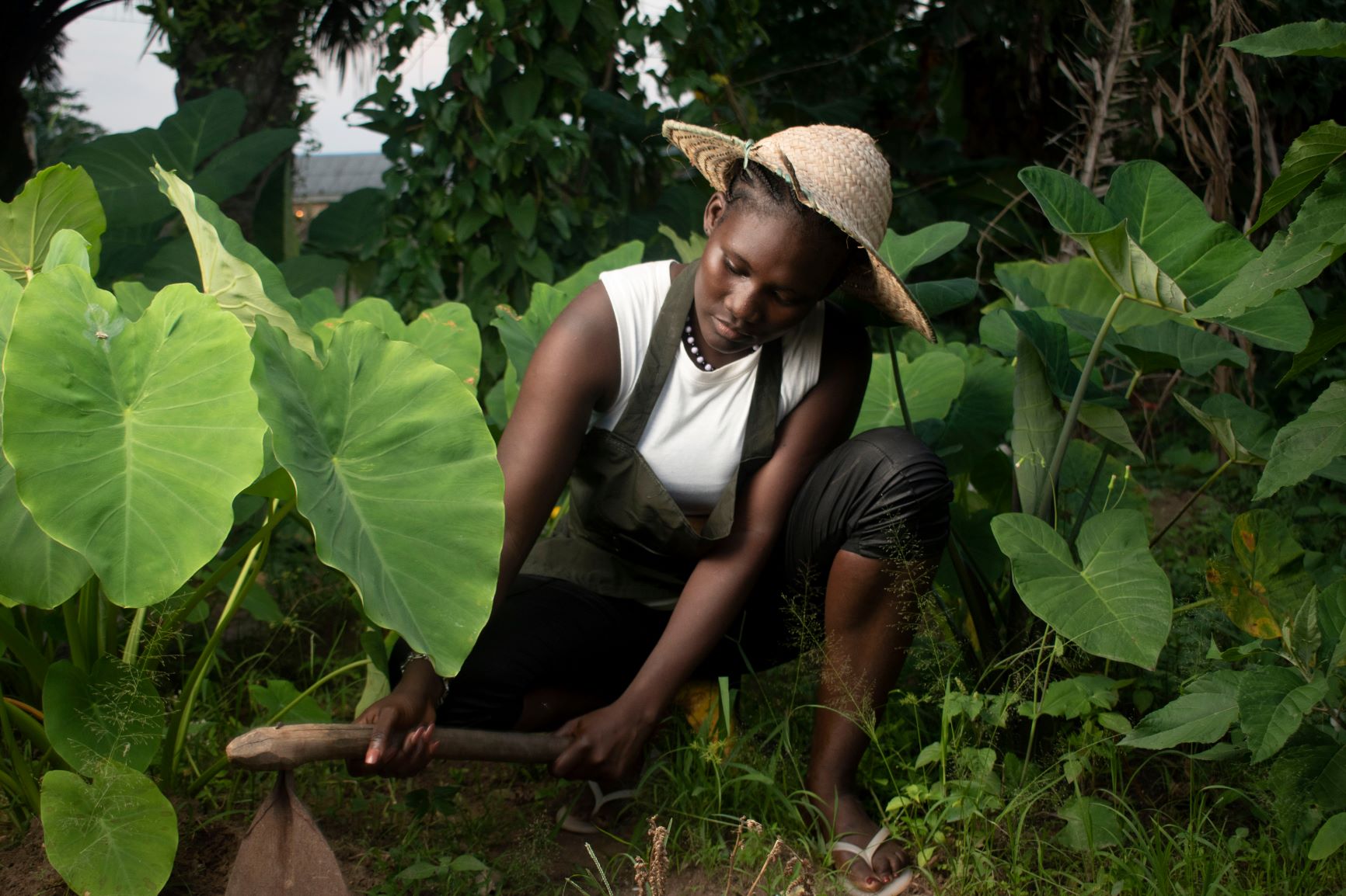 5 reasons why agriculture underperforms in Africa